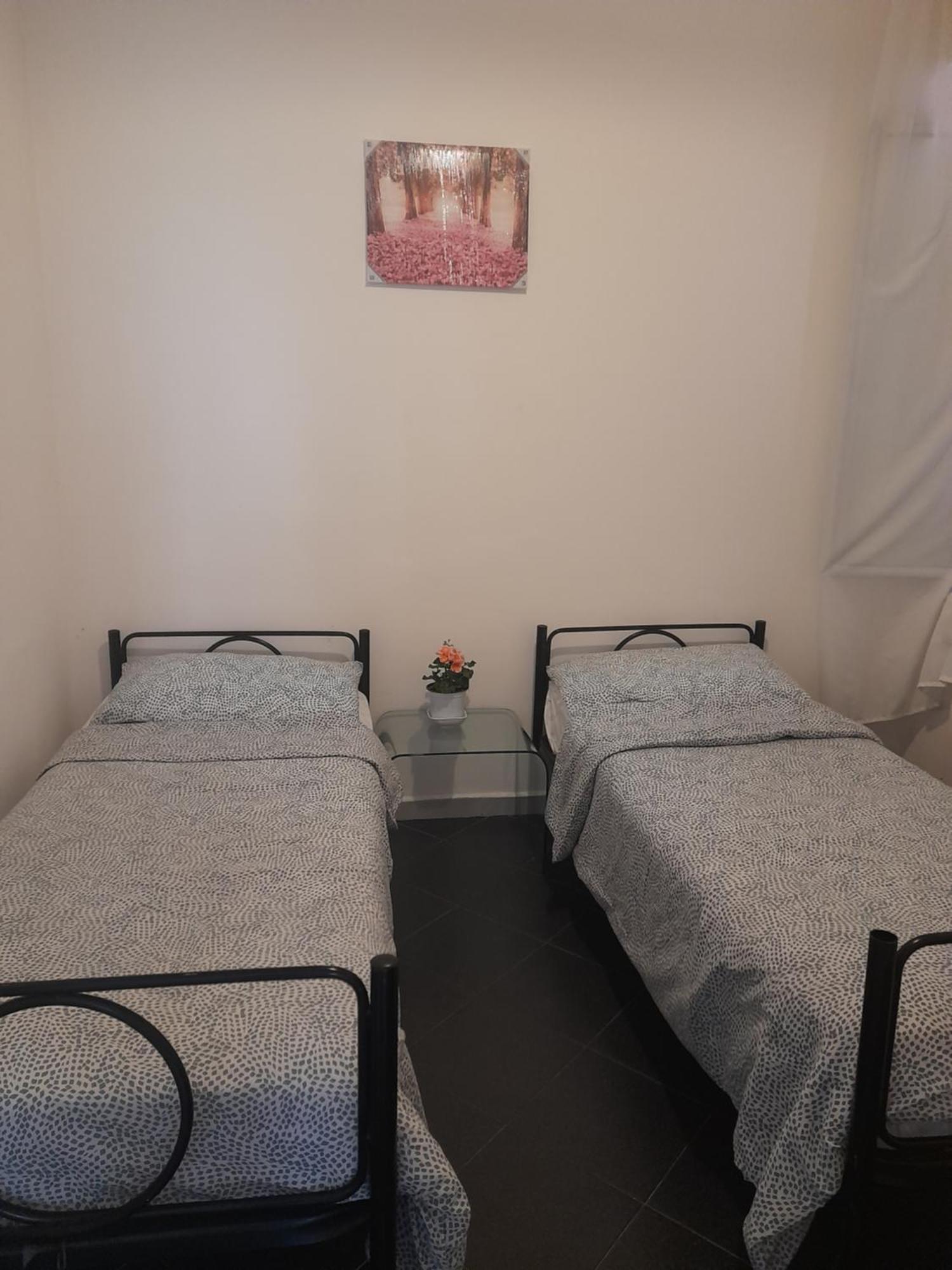 Apartmán Zena Apartament Janov Exteriér fotografie